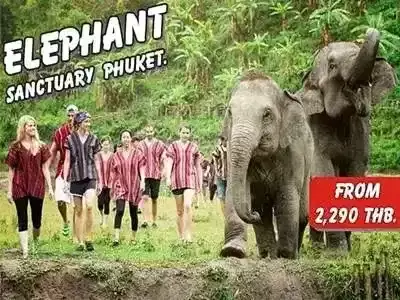 ELEPHANT SANCTUARY PHUKET.