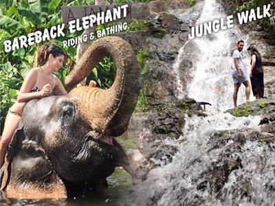 Jungle Walk and waterfall. Bareback Elephant Riding & Bathing.